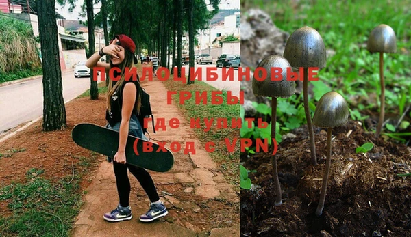 гидра Алексеевка
