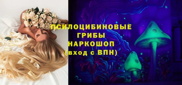 гидра Алексеевка