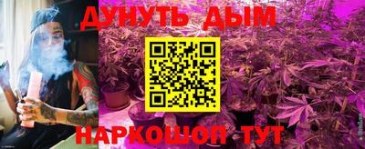гидра Обь