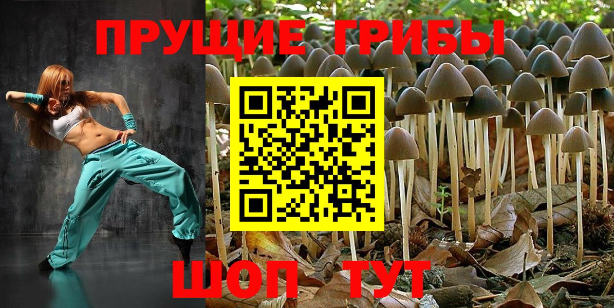Сокол  Псилоцибиновые грибы GOLDEN TEACHER  Вход с VPN 