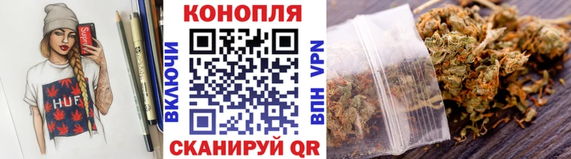 Бошки Шишки план  магазин продажи   Сокол 